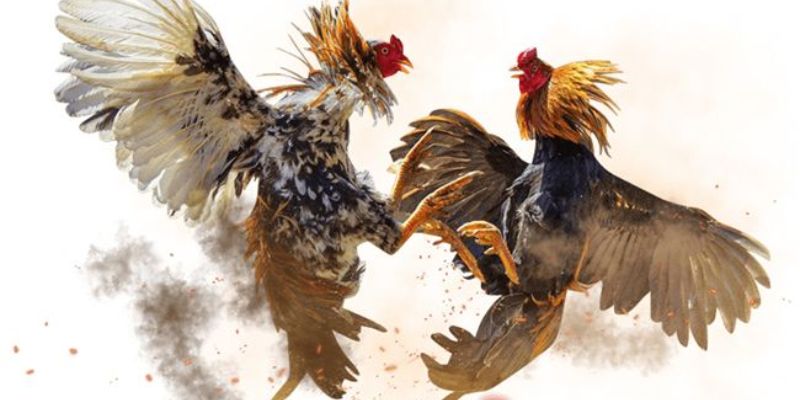 Quy trình thực hiện giao dịch tiền tệ cực kỳ nhanh