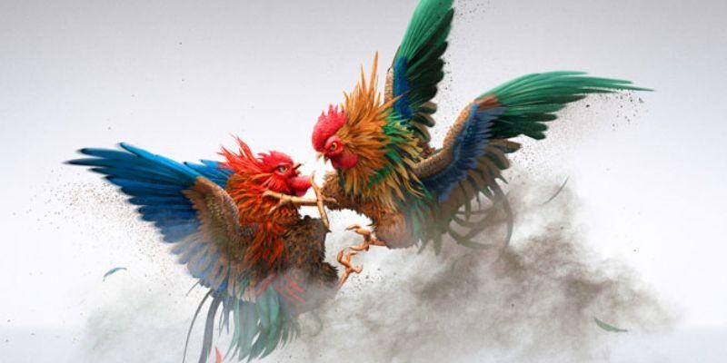 Kèo chơi được nhiều người lựa chọn khi tham gia Kèo chơi được nhiều người lựa chọn khi tham gia